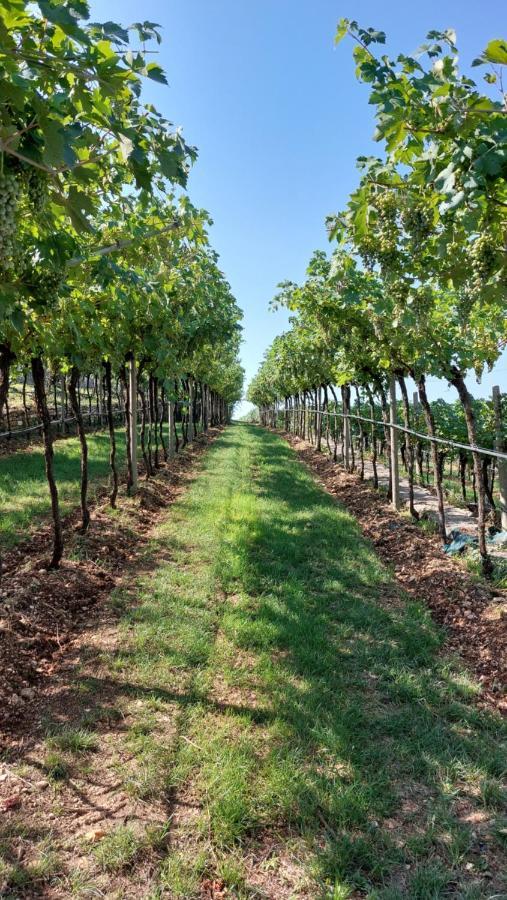 Azienda Agrituristica Corteforte フマーネ エクステリア 写真