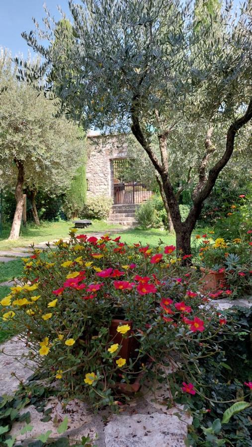 Azienda Agrituristica Corteforte フマーネ エクステリア 写真