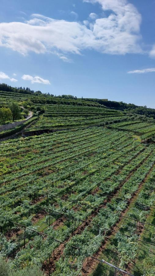 Azienda Agrituristica Corteforte フマーネ エクステリア 写真