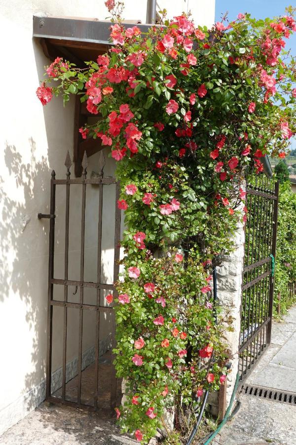 Azienda Agrituristica Corteforte フマーネ エクステリア 写真