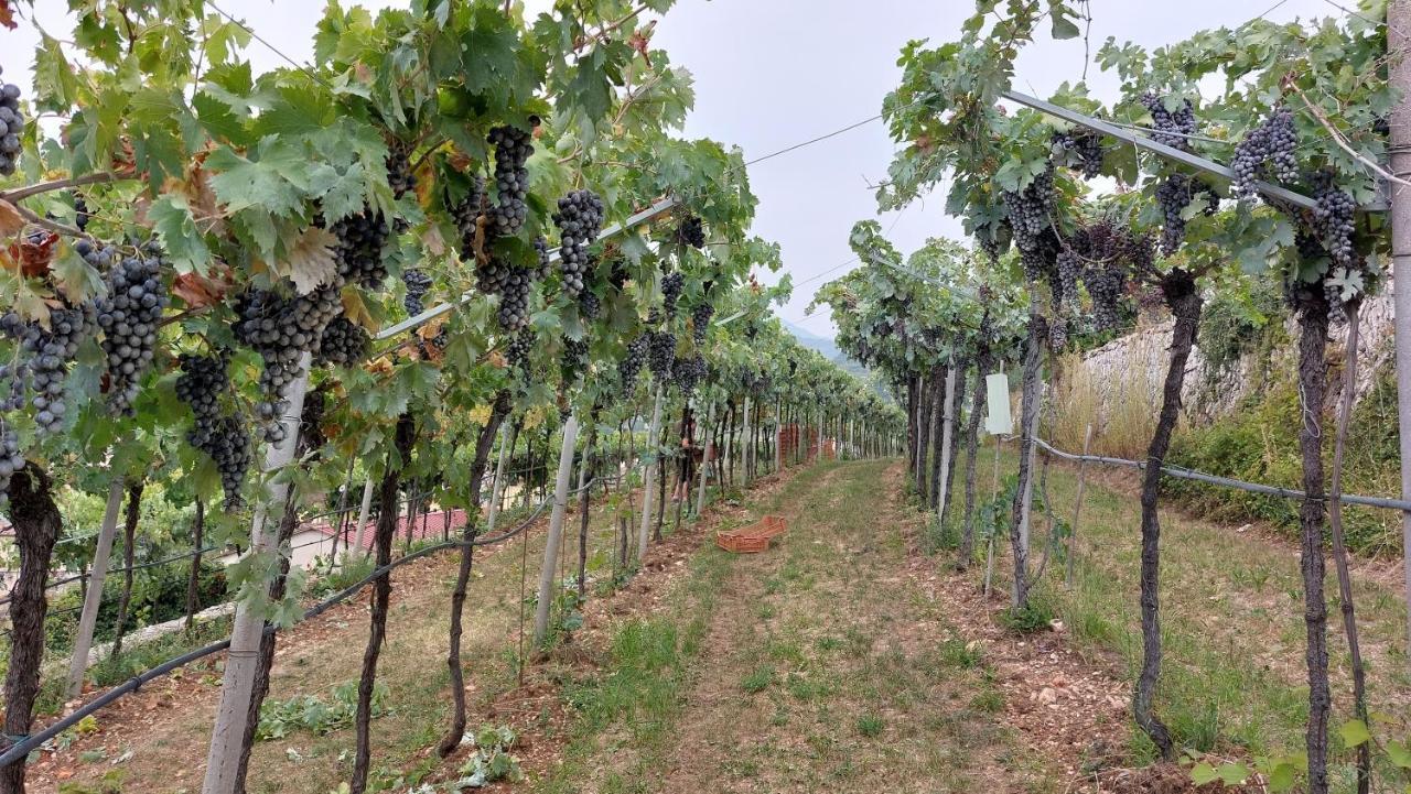 Azienda Agrituristica Corteforte フマーネ エクステリア 写真