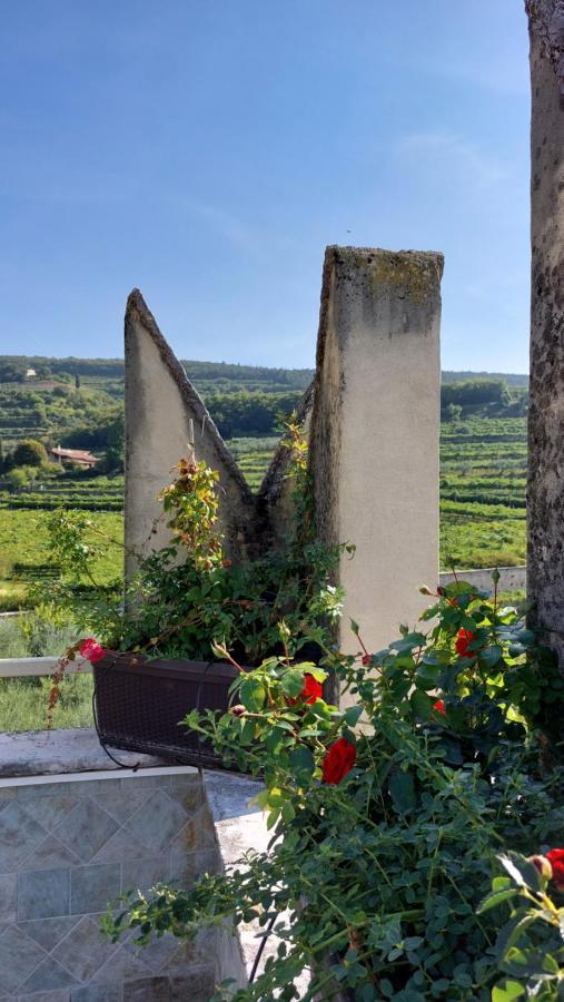 Azienda Agrituristica Corteforte フマーネ エクステリア 写真