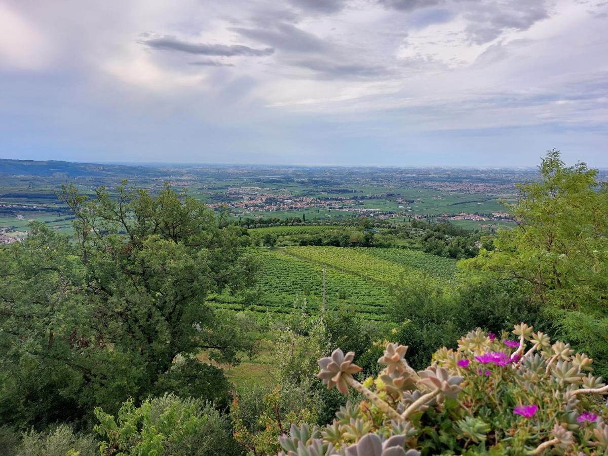 Azienda Agrituristica Corteforte フマーネ エクステリア 写真