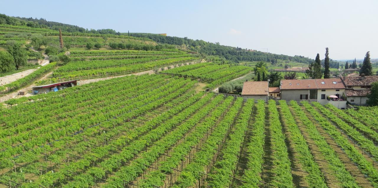 Azienda Agrituristica Corteforte フマーネ エクステリア 写真